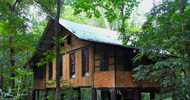 Rooms Khao Sok Tree - House Thailand